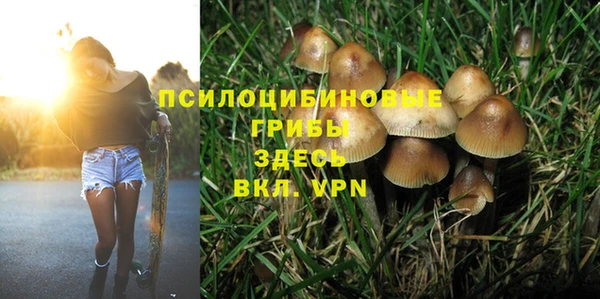 Альфа ПВП Алексин